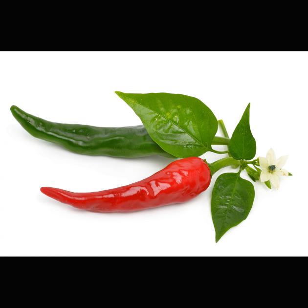 Capsicum Oleoresin