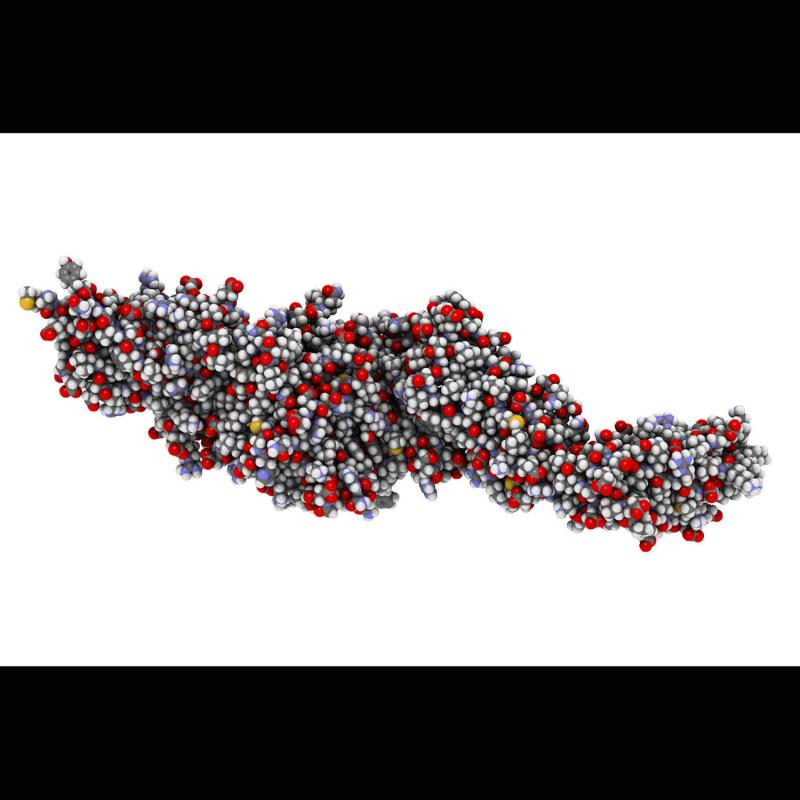 Transglutaminase Meat Active